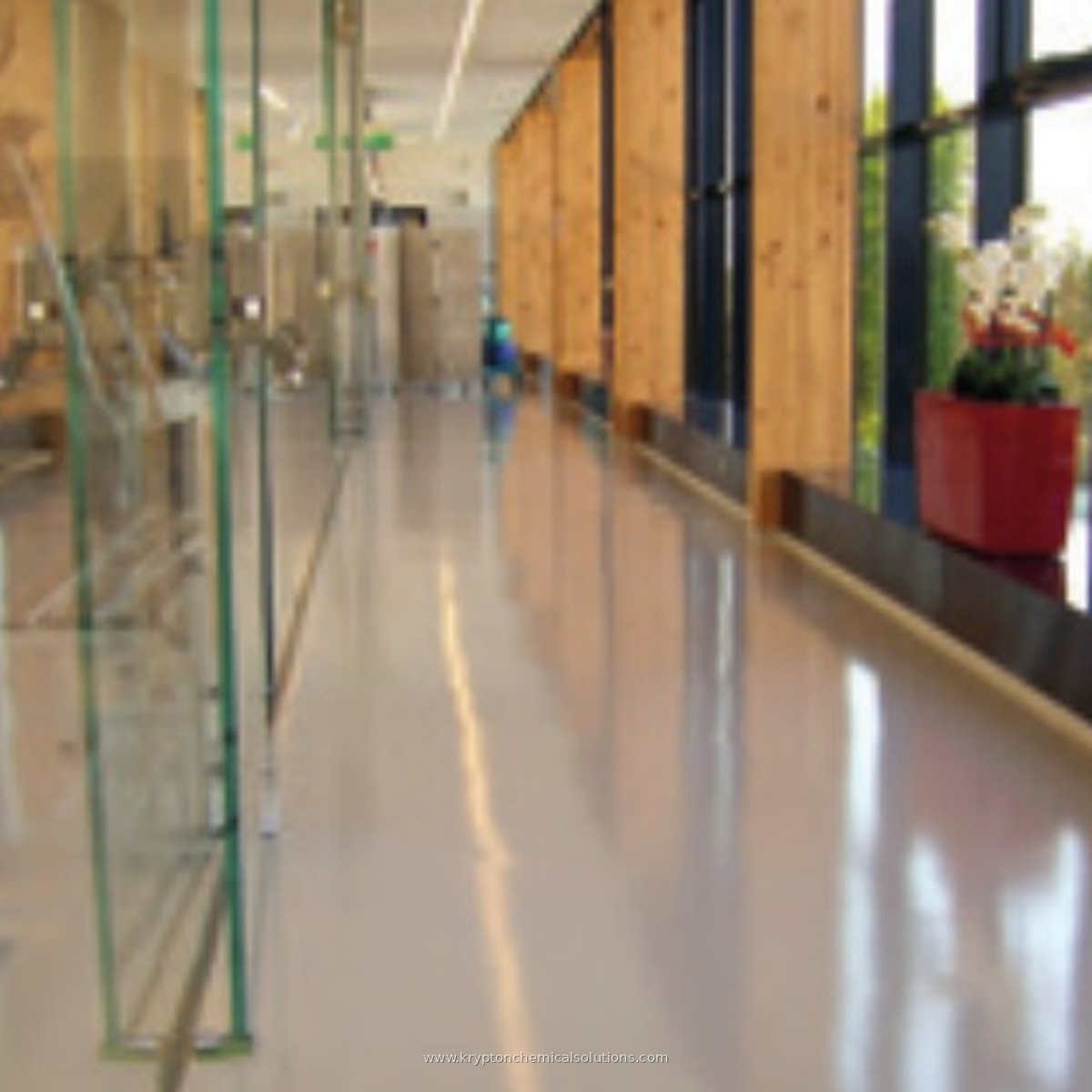 Gym Italy Paviflex
