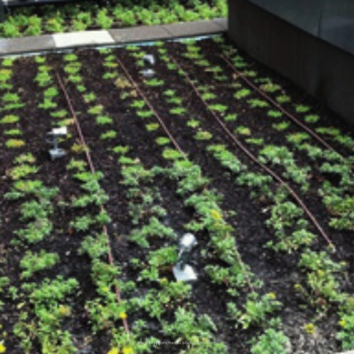 Oviedo green roof Impermax 2K