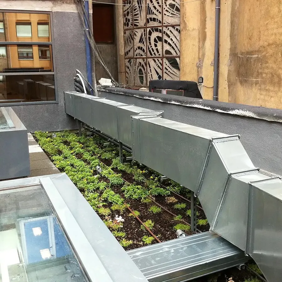 Green roof planting strip with drip irrigation beside a galvanized HVAC duct and glass skylights