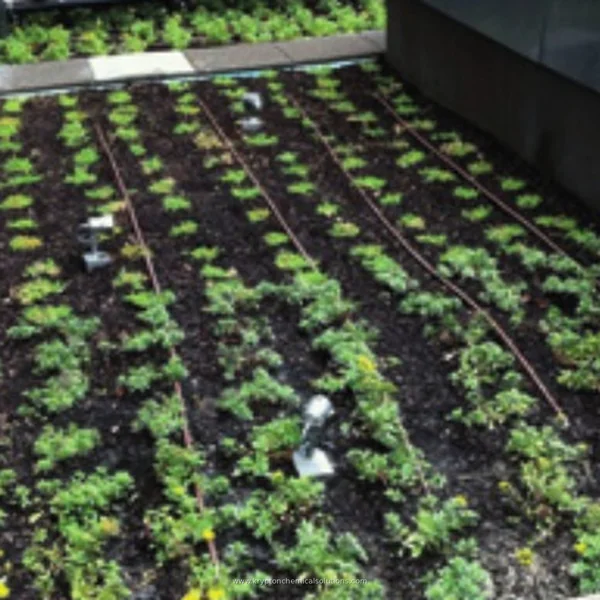 Green roofs, written as a system