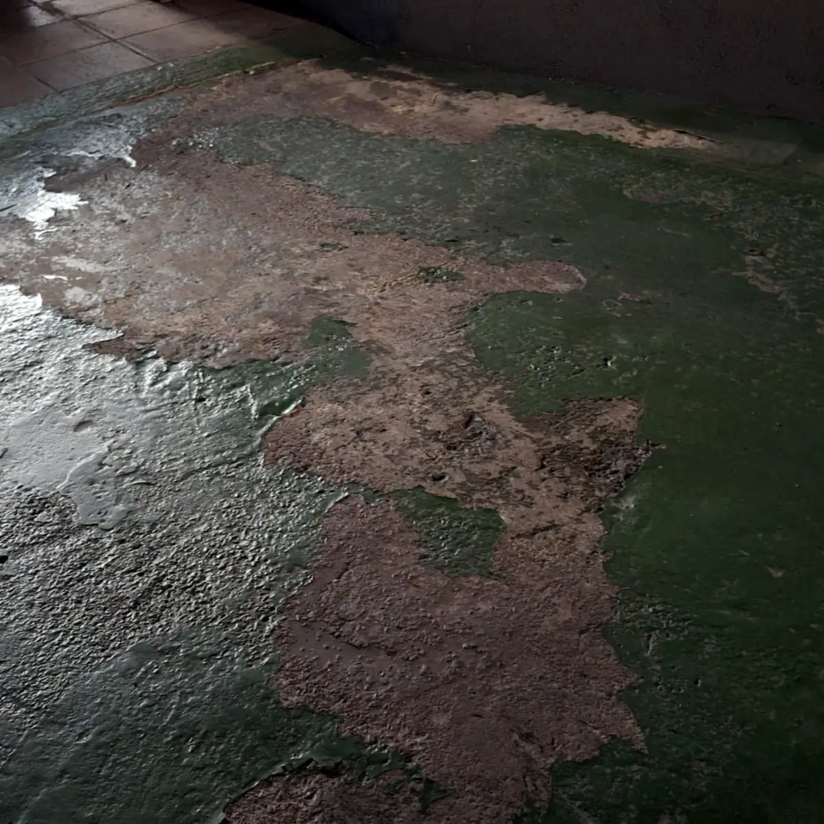 Wide view of the damaged coat before any grinding Wide view of the damaged coat before any grinding