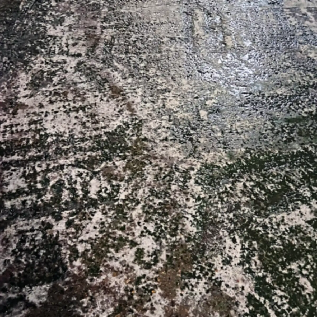 Close view of the worn green surface with bare concrete showing through, Puigcerdà Close view of the worn green surface with bare concrete showing through, Puigcerdà