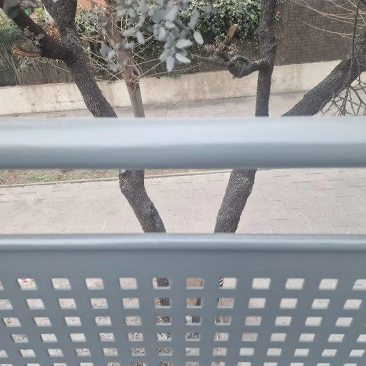 Coated handrail and panel top edge, Castelldefels bridge