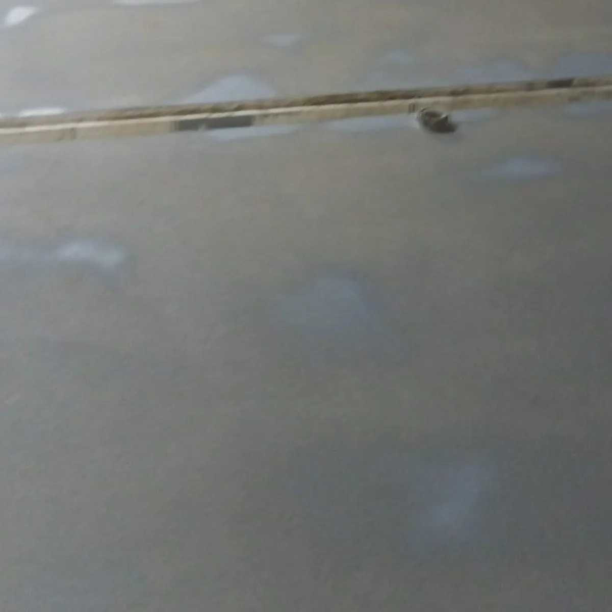 Coated floor along a drain line, close view, Menorca