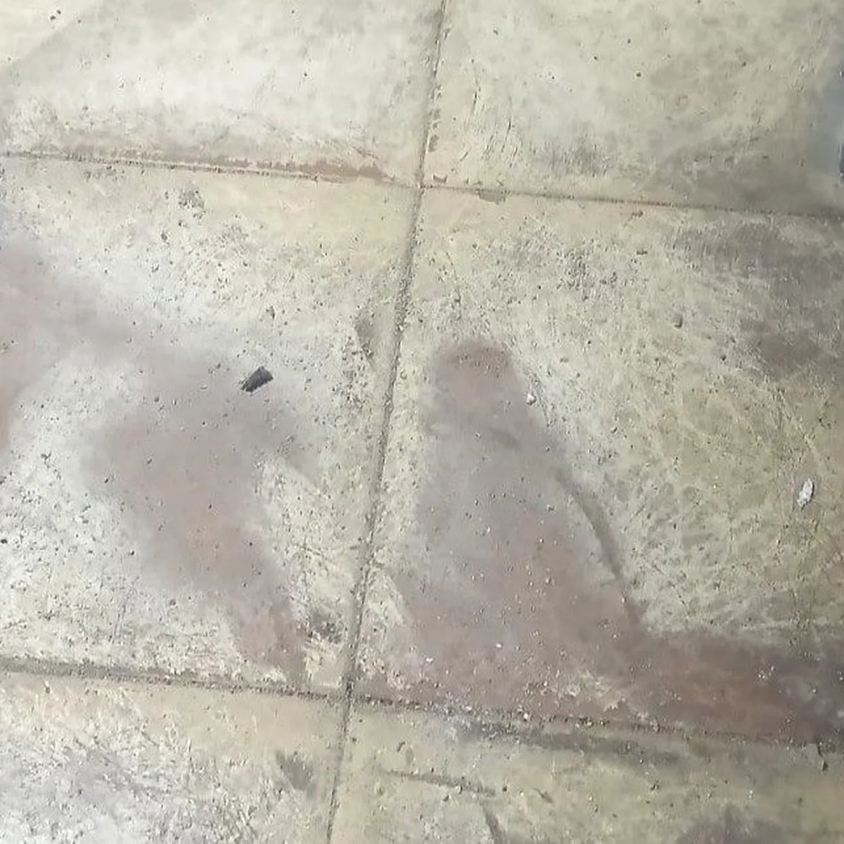 Stained old tile floor before renovation, Menorca cheese factory