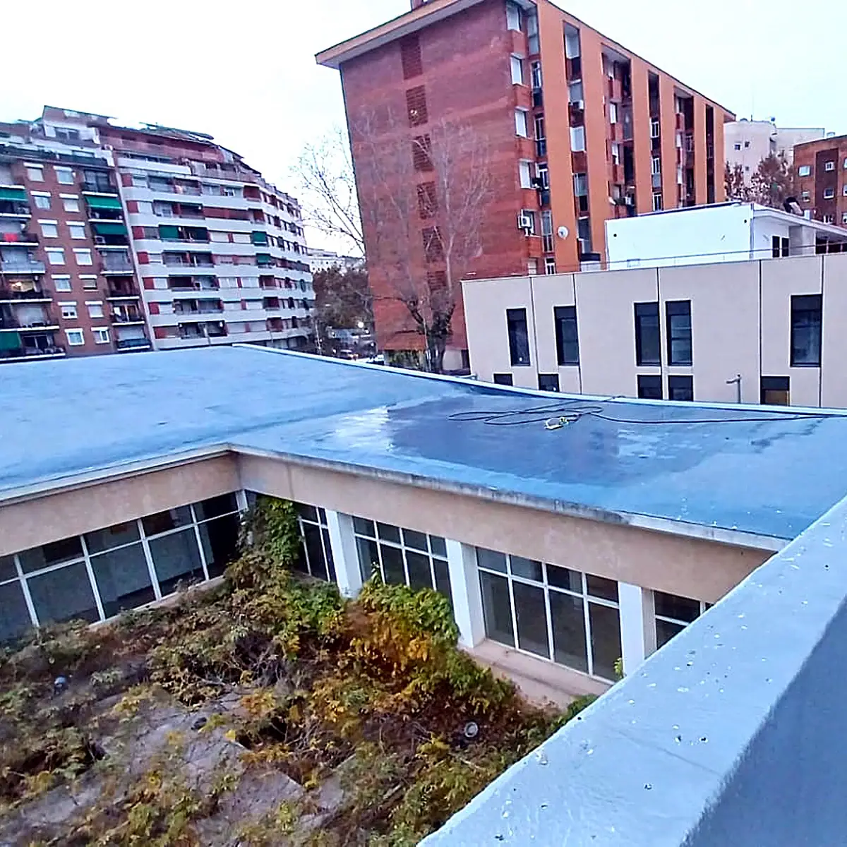 Coated roof edge above the garden courtyard of the cultural centre
