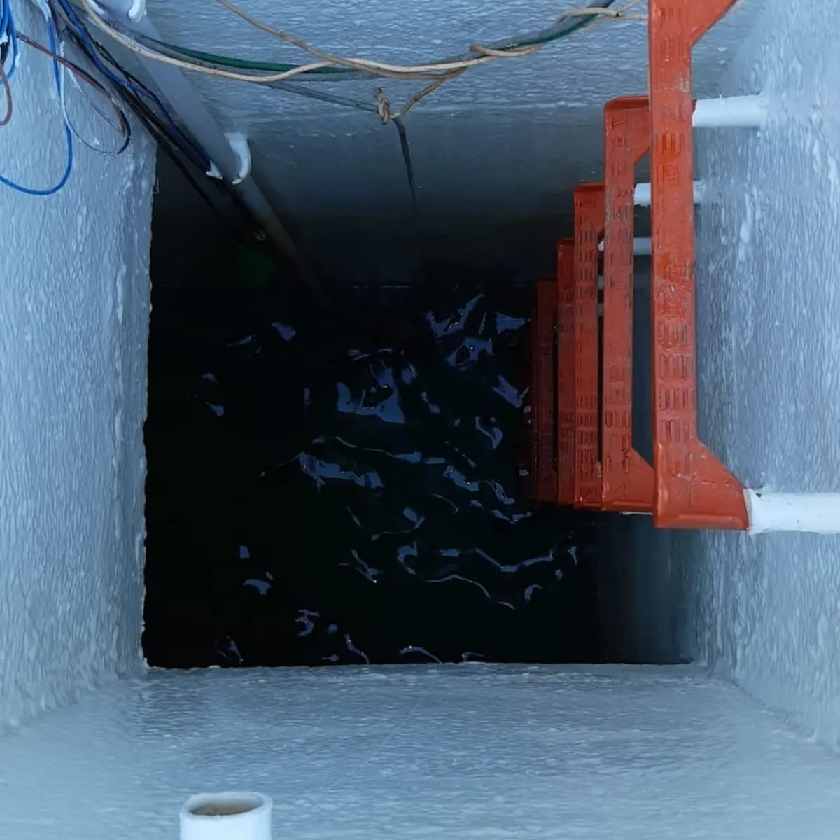 Looking down into tank with water and orange rungs, Tortosa