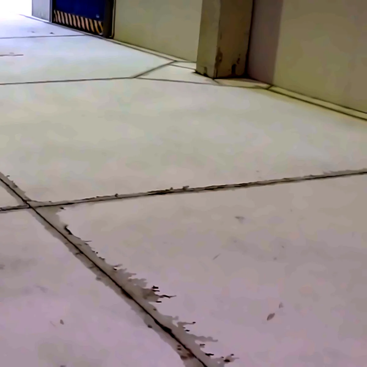 Ground concrete floor with cut joints, ready for coating in the Hawo factory, Pol. Les Tàpies