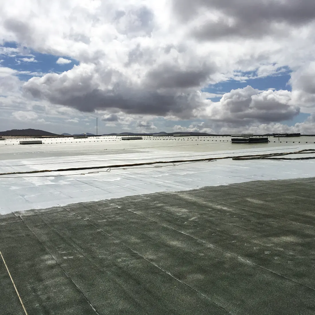New light coat meeting the old green membrane