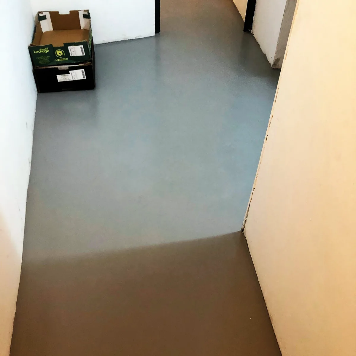 Coated corridor floor running past white walls Coated corridor floor running past white walls