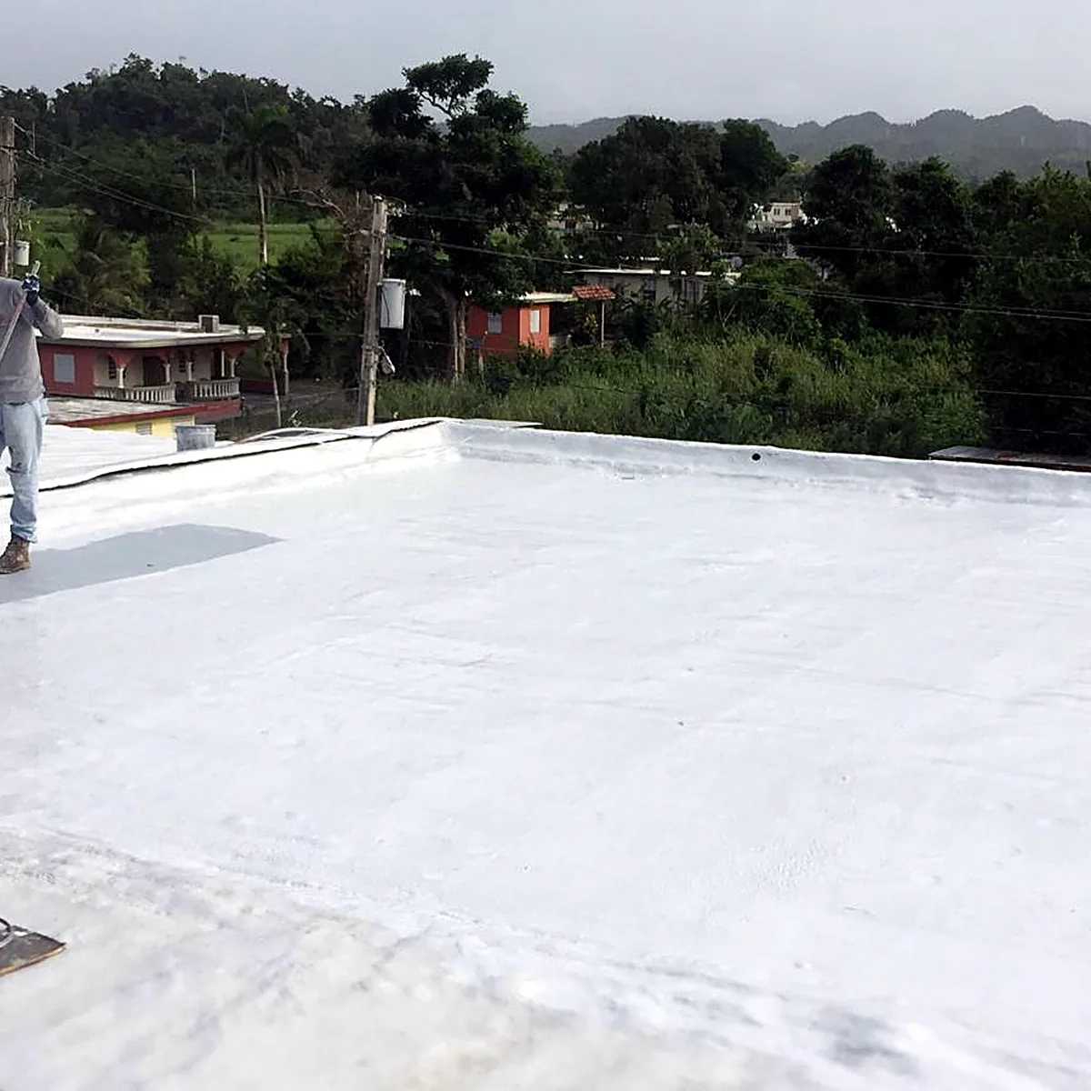 Two workers rolling the white coat on the roof Two workers rolling the white coat on the roof