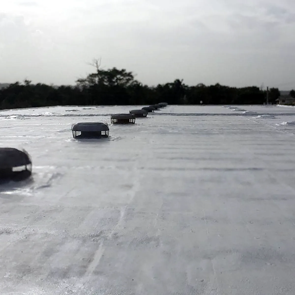 Long white roof with a row of round vents under a cloudy sky Long white roof with a row of round vents under a cloudy sky