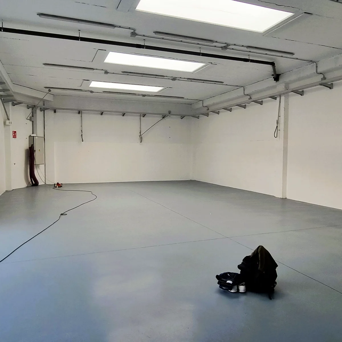 Grey hall floor with the roller door open to the yard