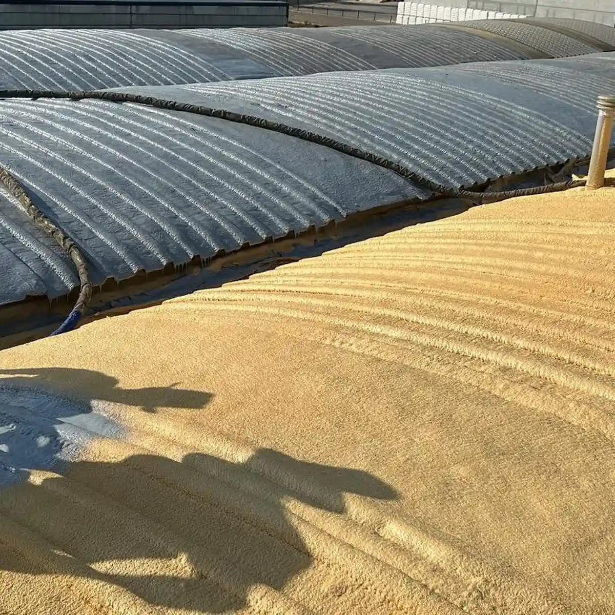 Line where grey membrane meets bare foam, Tarragona