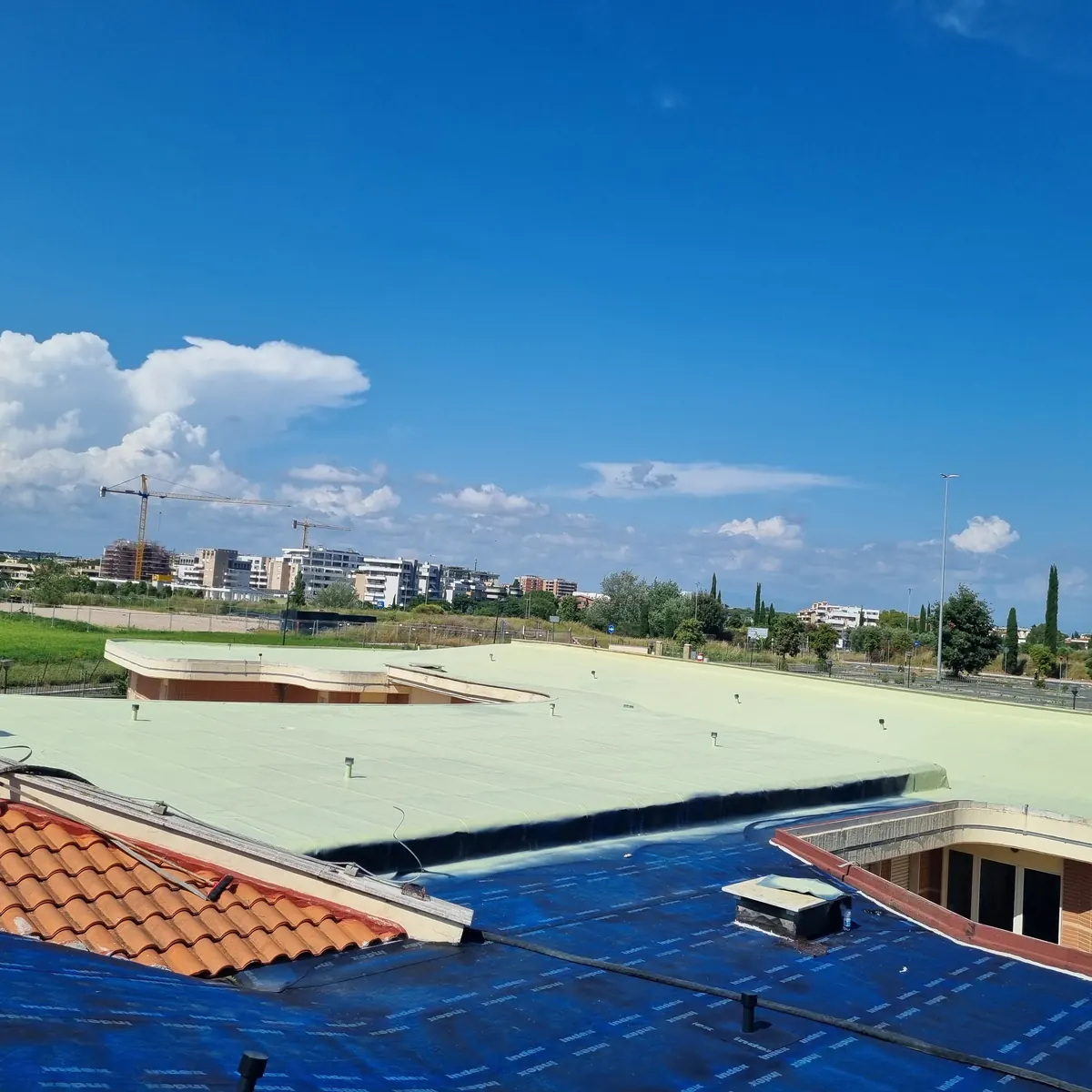 Roof field at the bituminous prep stage, Calimero nursery