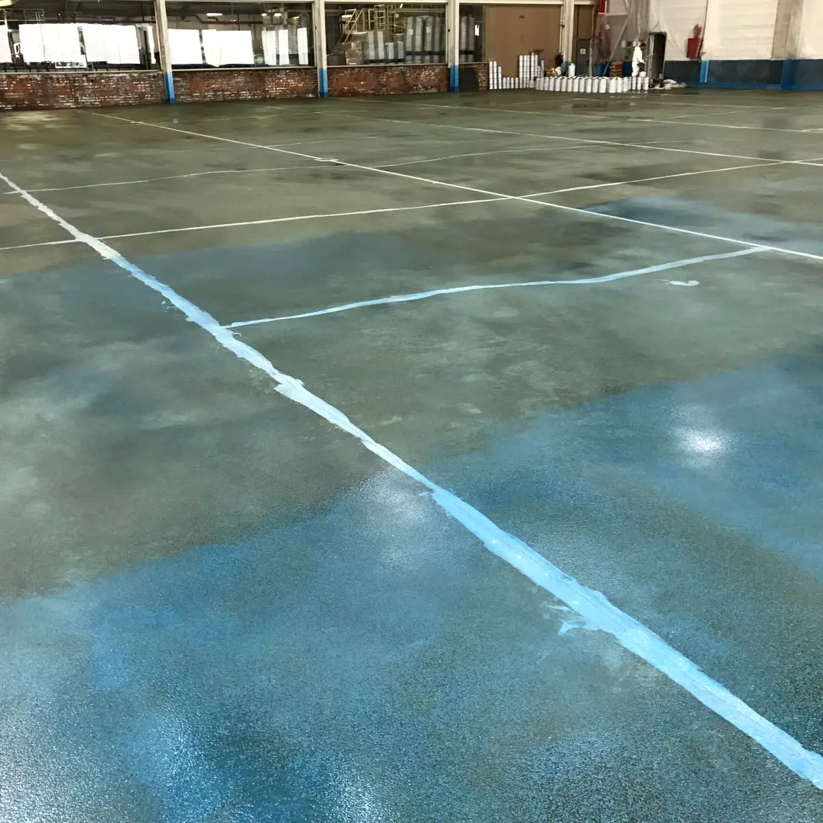 Filled joints across the ground concrete slab, Algeria pharma plant