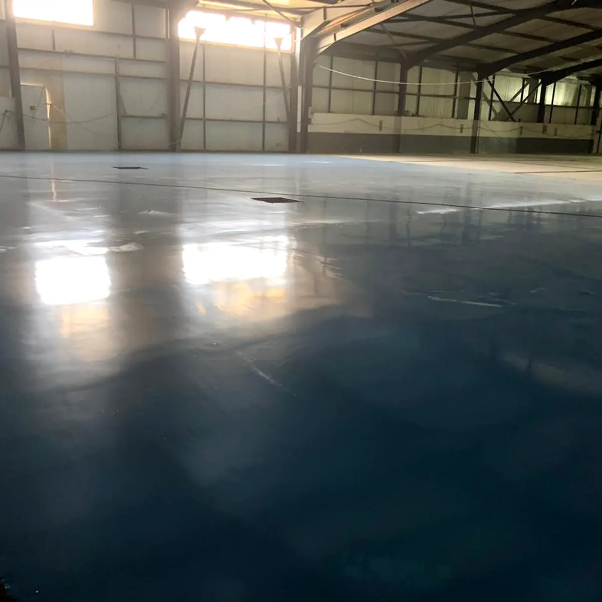 Dark blue glossy floor running toward the windows, Algeria pharma plant