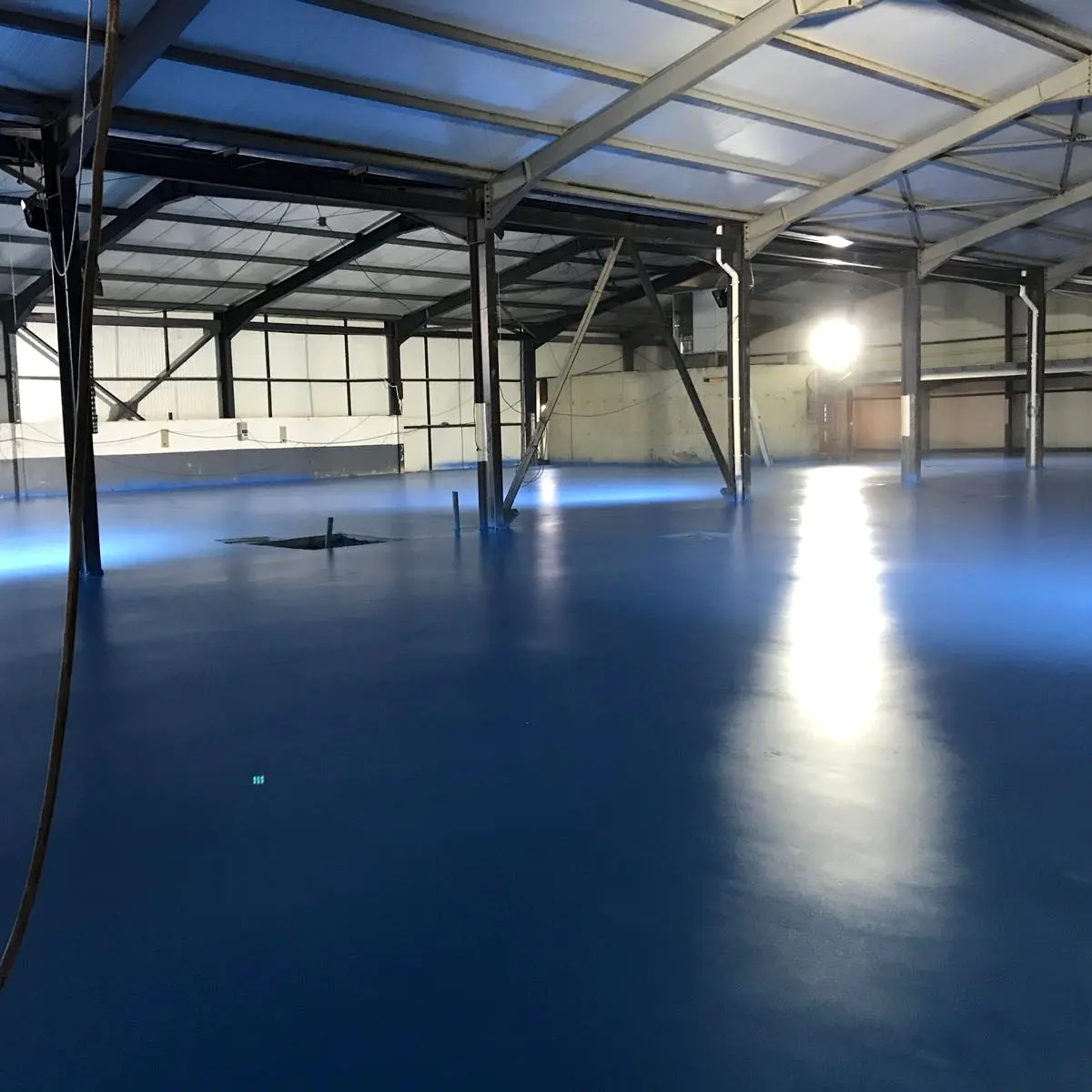 Blue floor under the hall lights, Algeria pharma plant