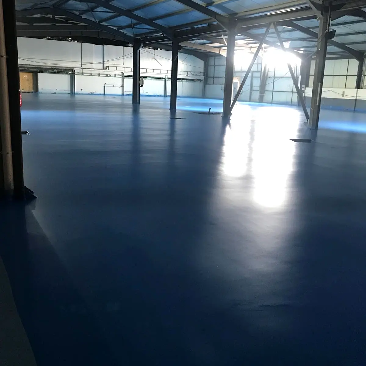 Wide reflective blue self-levelling polyurethane floor, Algeria pharma plant