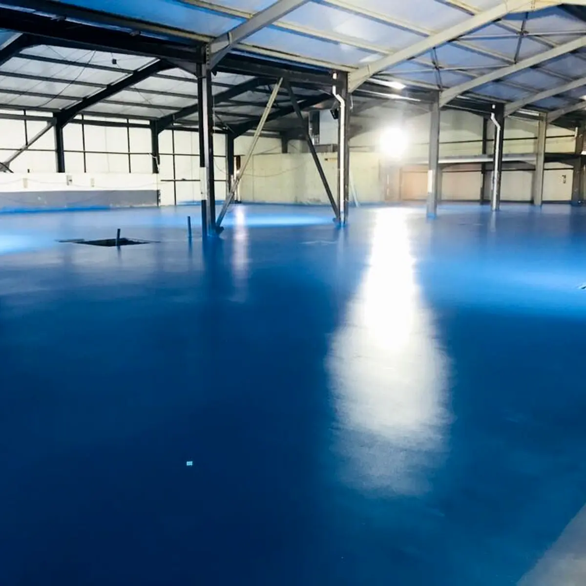 Blue floor under the hall lights, second view, Algeria pharma plant