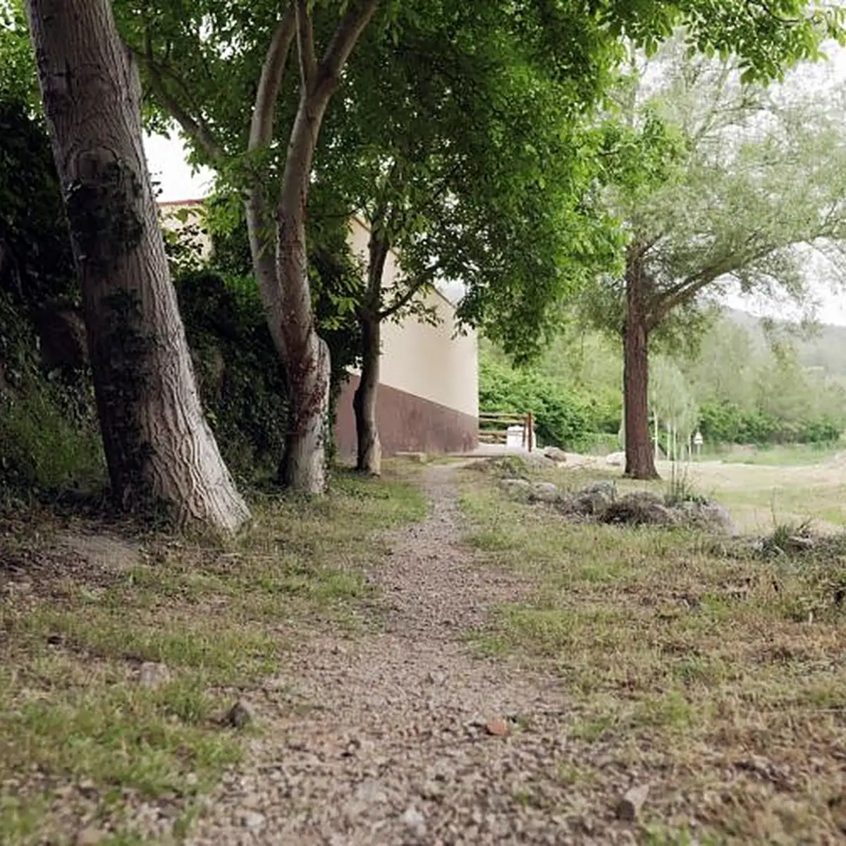 Worn earth path along a row of trees before the works, Vandellòs Worn earth path along a row of trees before the works, Vandellòs