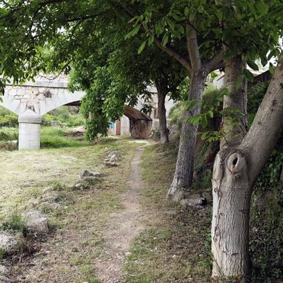 Earth path under trees near a stone bridge before paving, Vandellòs Earth path under trees near a stone bridge before paving, Vandellòs