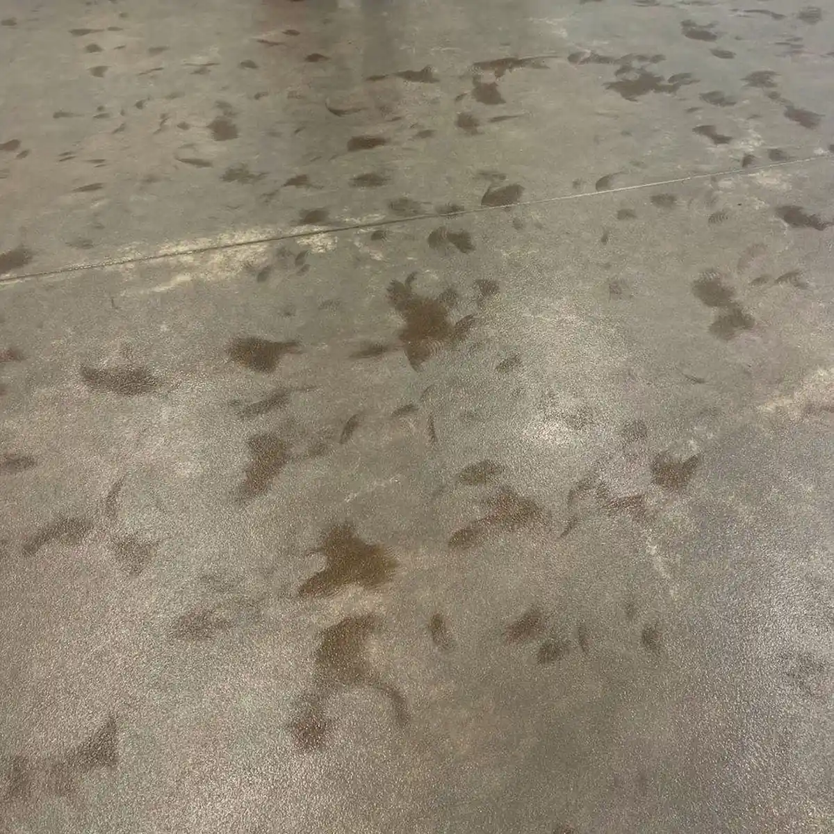 Primed concrete slab with darker patches, Logroño Primed concrete slab with darker patches, Logroño