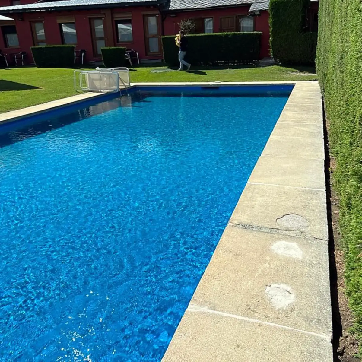 Long side of the pool with its stone coping and a hedge Long side of the pool with its stone coping and a hedge