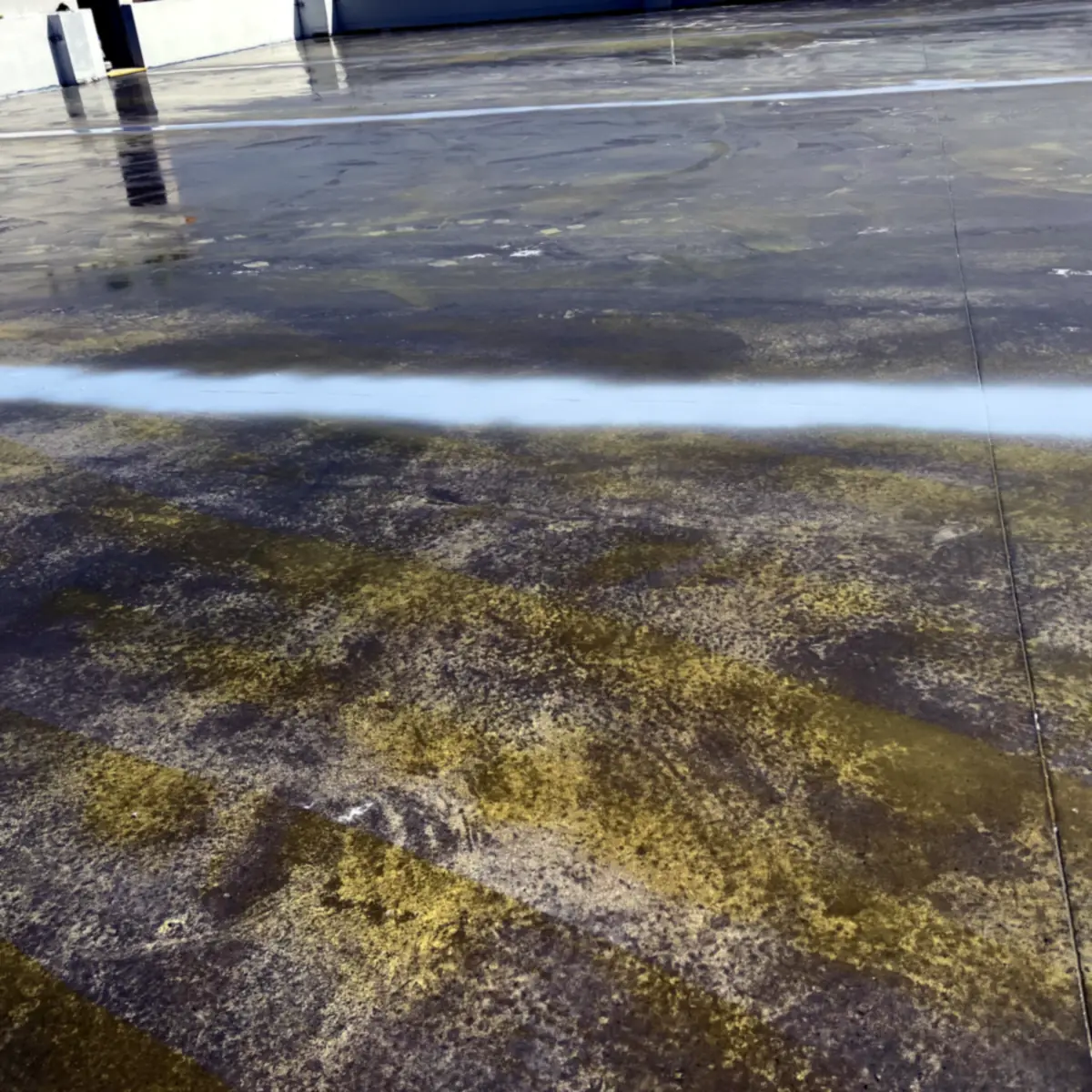 Bright strip of fresh coat across the older concrete surface