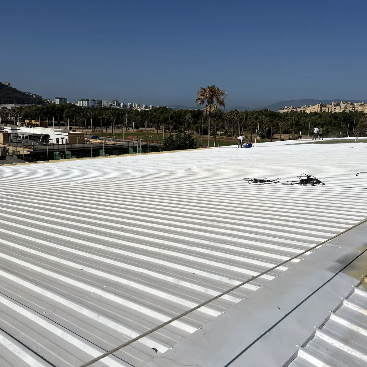 White finish on the ribbed metal roof with palms and hills, La Línea