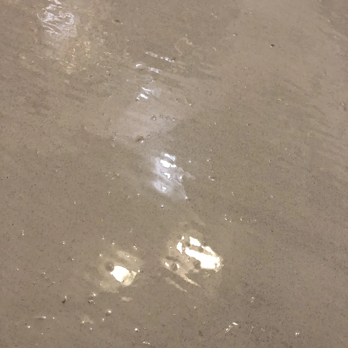 Glossy cured coat on the pool floor, close view, Russia