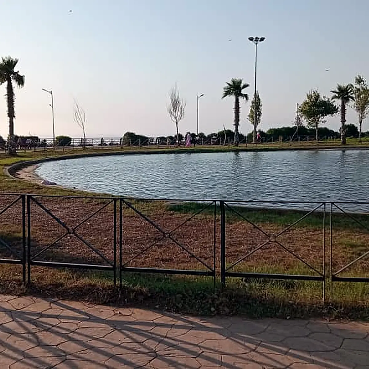 Wooden fence, palms and the water surface of the lake in 2026