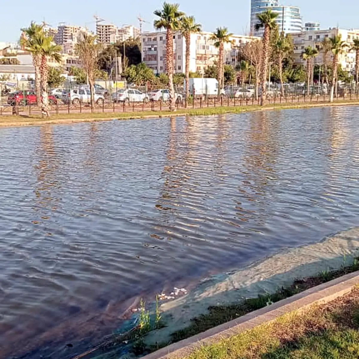 Water line along the lake edge with buildings across, 2026