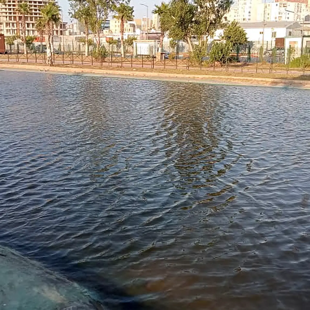 Rippled lake water along the edge with trees and flats behind, 2026