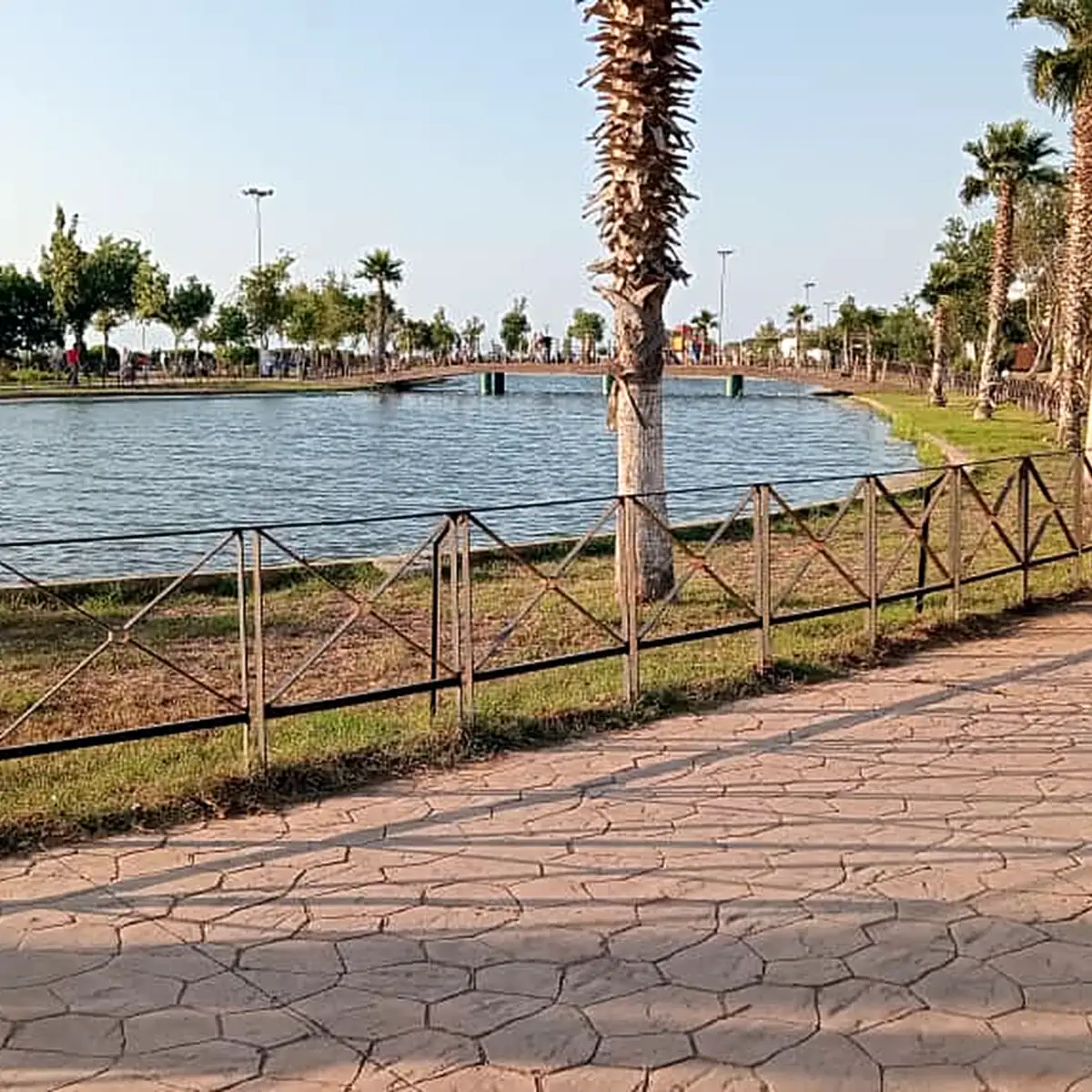 Paved path and palms along the full lake in July 2026