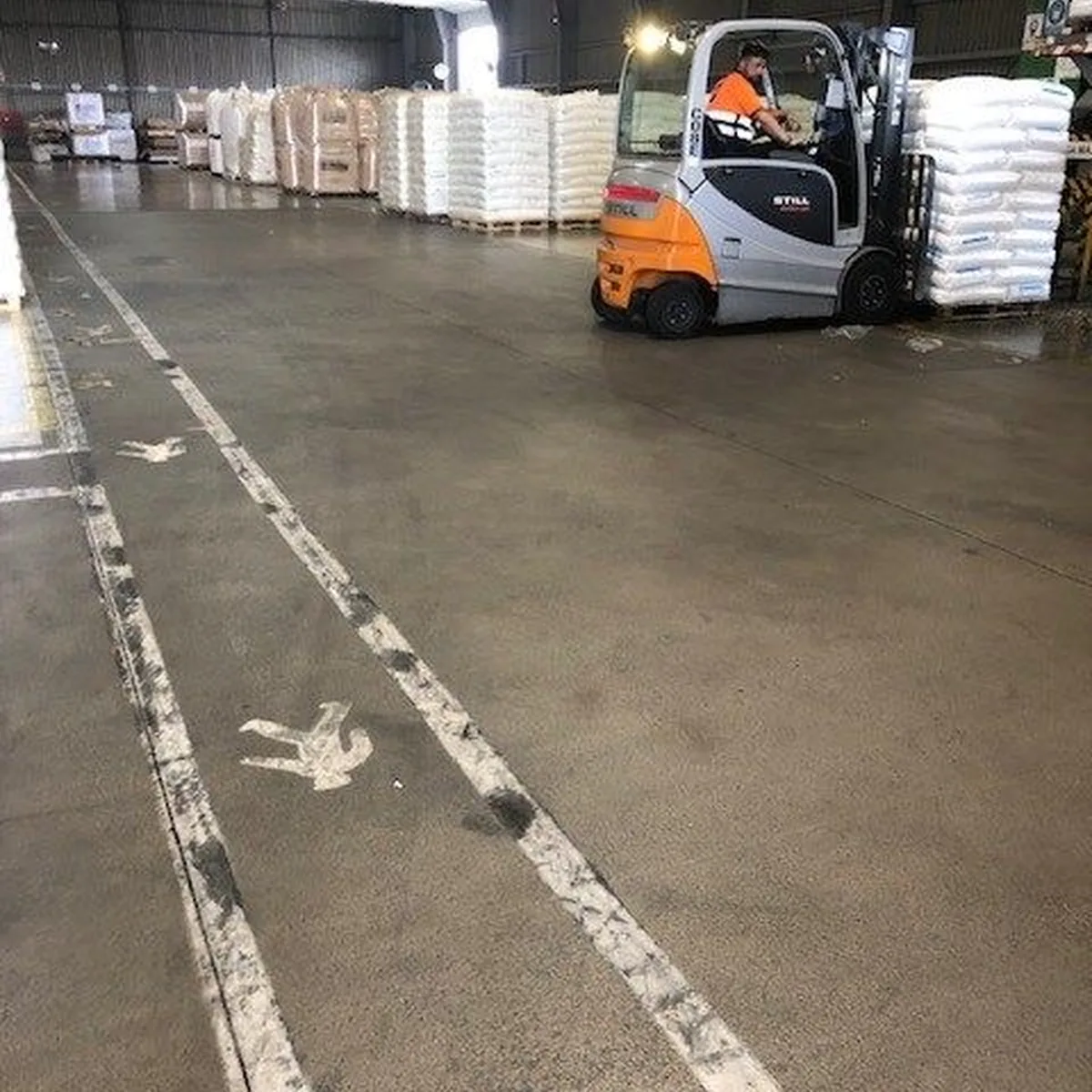 Forklift and painted lines on the finished floor, Constantí, Tarragona