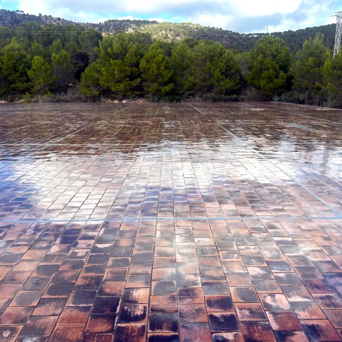 Cubierta cerámica del depósito tras el lavado, con pinares al fondo, Calvià